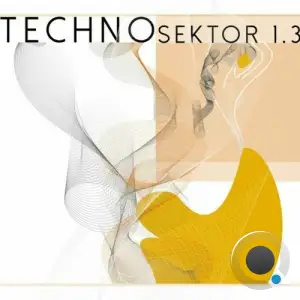  Techno Sektor 1.3 (2024) 