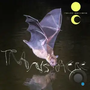  Transaere (2024) 