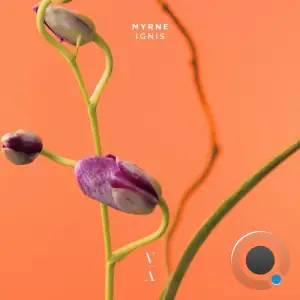  MYRNE - Ignis (2024) 