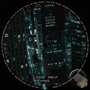  DJ Sensible - Wake Up (2024) 