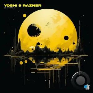  Yoshi & Razner - Judgment (2024) 