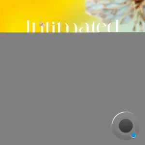  ILY, Katze - Intimated Sun (2024) 