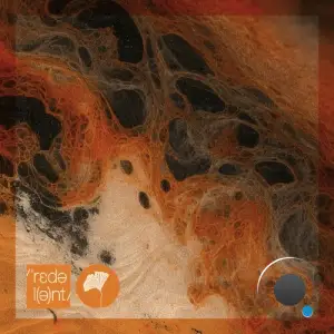  Bebbo - Amor (2024) 