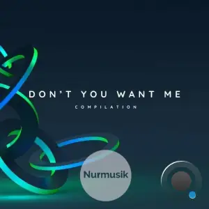  Sinzanu - Don't You Want Me (2024) 