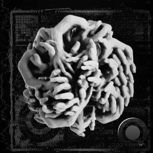  Crystal Geometry - Antithèse (2024) 