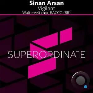  Sinan Arsan - Vigilant (2024) 