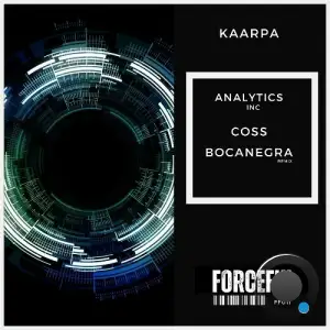  Kaarpa - Analytics (2024) 