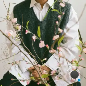  Shigeto - Cherry Blossom Baby (2024) 