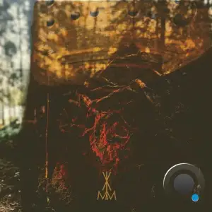  Vlimmer - Bodenhex (2024) 