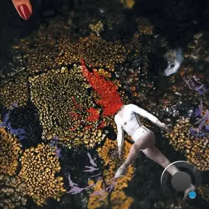  Clothilde - Cross Sections (2024) 