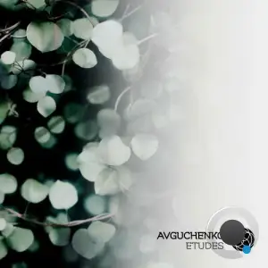  Avguchenko - Etudes (2024) 