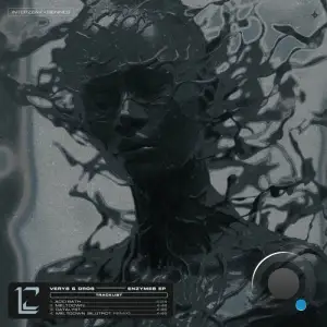  DROS - ENZYMES (2024) 