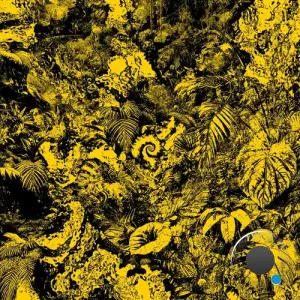  Secretsundaze - WAR1210 (2024) 