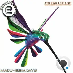  Madu-reiRa David - Colibri Lusitano (2024) 