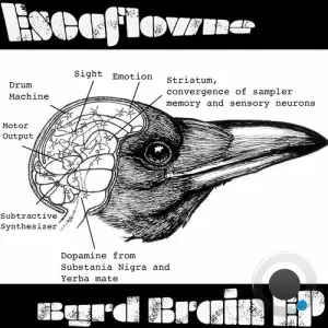  Escaflowne - Byrd Brain (2024) 