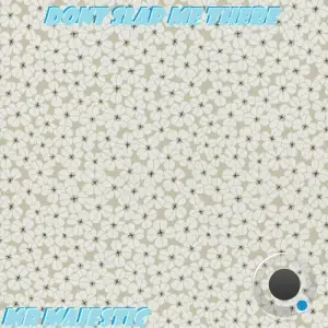  Mr Majestic - Dont Slap Me There (2024) 