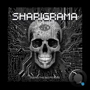  Sharigrama - Seeing the big picture (2024) 