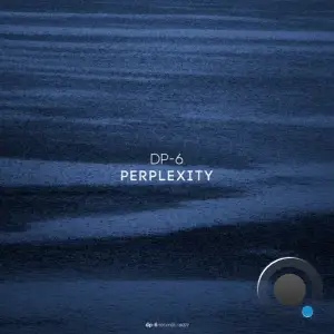  DP-6 - Perplexity (2024) 