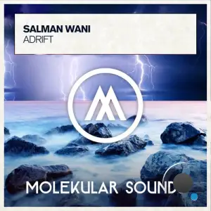  Salman Wani - Adrift (2024) 