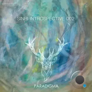  Sinri Introspective 002 (2024) 