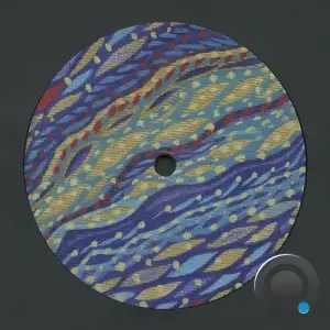  Shed - Applications (2024) 