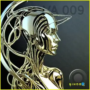  SINDEX VA 009 (2024) 