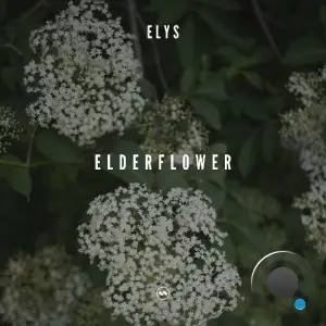  Elys - Elderflower (2024) 