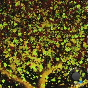  Anteac - Tree Soul (2024) 