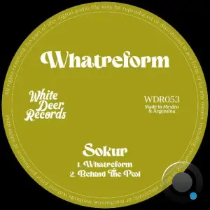 SOKUR - Whatreform (2024) 