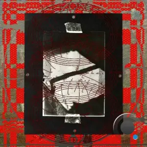  Rojin Sharafi - O.O.Orifice (2024) 