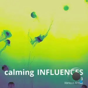  Calming Influences, Vol. 3 (2024) 