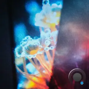  Joris Voorn & Jan Blomqvist - Flora (2024) 