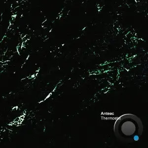  Anteac - Thermostat (2024) 