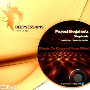  Project Megahertz - Shepherds (2024) 