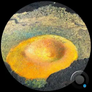  Outer Informer - Orange System (2024) 