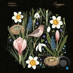  Bowsie - Cerrado (2024) 