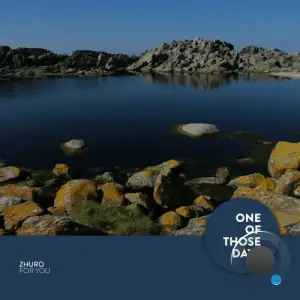  ZHURO - For You (2024) 