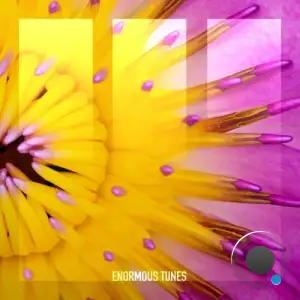  Henri (BR) - Life (2024) 