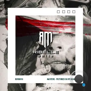  MrSteve - Pictures In My Head (2024) 