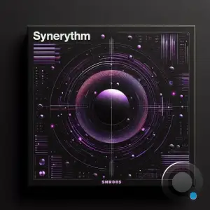  Synerythm005 (2024) 