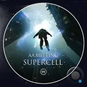  AA Meeting - Supercell (2024) 