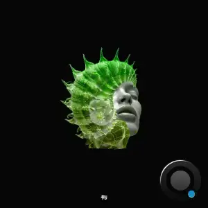  Cohhesion - Around (2024) 