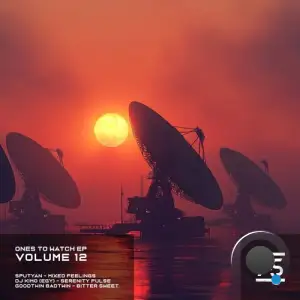  Ones to Watch 12 (2024) 