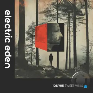  IODYNE - Sweet Vibes (2024) 