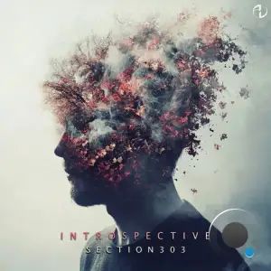  Section303 - Introspective (2024) 