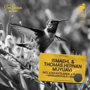  Ismaehl & Thomas Hernan - Muyuavi (2024) 