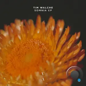  Tim Walche - Somnia (2024) 
