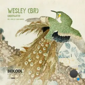  WESLEY (BR) - Underwater (2024) 