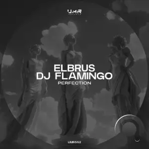  Elbrus & Dj Flamingo - Perfection (2024) 