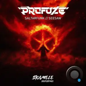  Profuze - Saltarfunk/Seesaw (2024) 